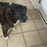 No more aches and pains