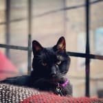 Great prices, awesome customer service