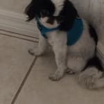 we are very pleased, great product so far