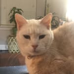 Precious is feeling much better!!!!!