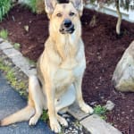 Only week 1 and a little more mobility