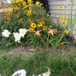 Great product.  Great service.