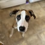 My baby's saving grace