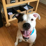 Great experience and product