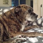 This product works!!