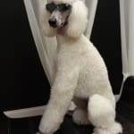 This medication really works