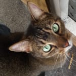 A medicine that's easy!