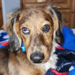 Keeps my per healthy