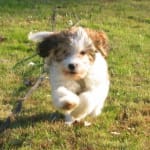 Filled prescription with limited availability