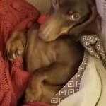 Good customer service