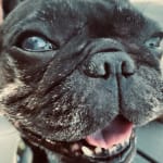 This medication helps our Lucy!