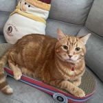 This medication turned his future around