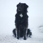 Exceptional at keeping ears clean