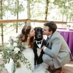 Great Dane with IBD uses this product