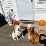 I will definitely purchase from here again!