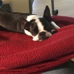 I will continue buying this product