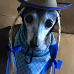 made a not so pleasant procedure into a positive stress free