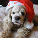 Great service & product