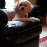 I only buy from Vet Rx Direct