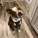 This medication is very helpful!