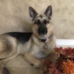 Monthly medication always available