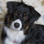 great product less price