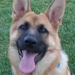 Great product! Great price! Fast shipping!