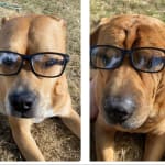 Amazing Product & Company