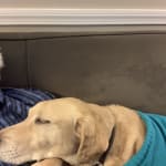 Great price, great service