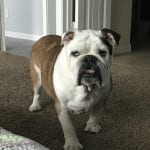 AMAZING product and results