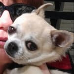 It costs less here and it works