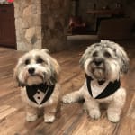 Brother and Sister Love Visbiome