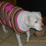 only place i could find a generic!!!