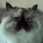 Unanimous Seal of Approval