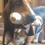 Great Customer Service