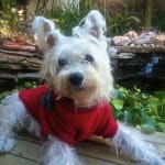 Phenomenal Product!!!