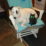 This stuff is great!