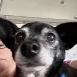 This product is the Bedt