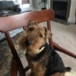 Cecil has never had a problem taking this medication