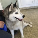 This med is great and helped alot