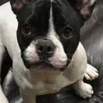 Excellent friendly service