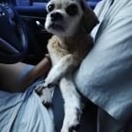 I will buy this product again and again.