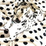 Excellent product to insure good gut health for my dog.