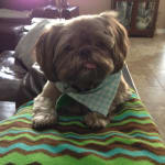 I have this product on automatic delivery