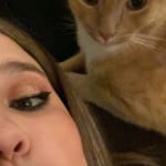 Lifesaver for my boy (kitty) with periodontal problems.