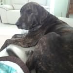 I get it every month