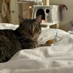 Did exactly what I needed!