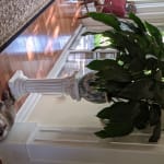 Meowables- "wow-ables"