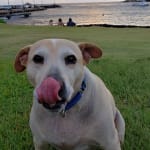 Costly but effective