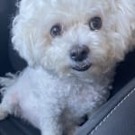 Thank-you Aventi Kidney Complete